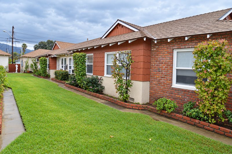 The lawn and walkway along the building